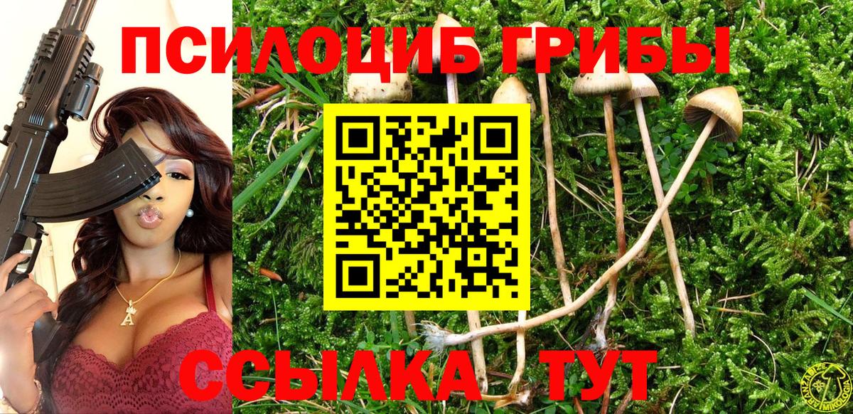 Галлюциногенные грибы ЛСД Кропоткин