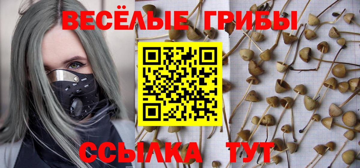 Кропоткин  Галлюциногенные грибы Psilocybine cubensis  Галлюциногенные грибы мухоморы  наркота  Вход с VPN 